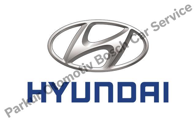 Edirne Hyundai Servisi