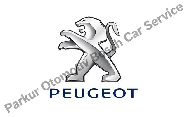 Edirne Peugeot Servisi